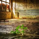 기타장소 이미지