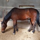 송산목장 이미지