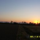 해뜨는아침농장 이미지