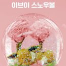 스노우볼 - 청주시 상당구 | 스노우볼