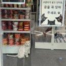 꿈 속에서 꿈을 꾸다