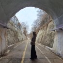 경춘선 자전거도로10 | 가평 청평 산책코스 2월 겨울 끝자락에 다녀온 색현터널