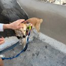 제주산토리니 | 20대 여자 혼자 그리스 여행 🇬🇷 | 산토리니 1박2일 (2)