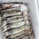 생물大먹갈치 명절선물세트 판매합니다! 이미지