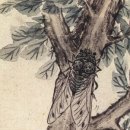 [고전 속 세상 이야기] 매미에 대한 설, 선설(蟬說)