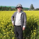 축제의 물결 이미지