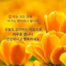 새벽클린 이미지