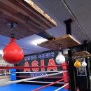 아세아 복싱 다이어트 클럽 이미지
