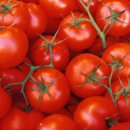 슈퍼푸드 ‘토마토’… 효능 9배 올리는 기적의 방법은? 이미지