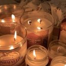 나의 사계 이미지