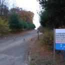 병산리 돌거북상 이미지