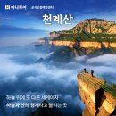 꿈에그린여행사 이미지