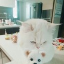 수원-0205 이미지