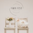 시월애사진관