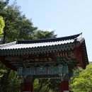 삼화목장 Daum카페