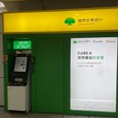 중정 | 대만 중정기념당 후기 | 융캉제 라뜰리에 루터스 누가크래커 추천