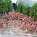 시립감골 어린이집 이미지