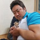 제목