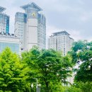 서울세탁소 | 서울 용산 명품세탁 전문점 문배동 아크로세탁소 버버리 코트 맡긴 후기