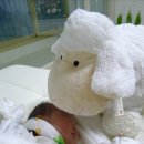 멍구야 놀자 이미지