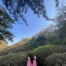 드로잉랩