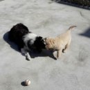 씨엔스타 펜션 이미지