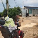 영암의료기 이미지