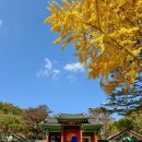 지에스25 문산평화누리점 | 경기도 파주 가볼만한곳 가을 나들이 명소 TOP5