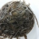 서른낙지