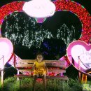 아인스캠핑월드 이미지