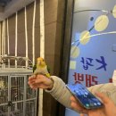 행복가득노래연습장 이미지