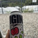 로그인 편의점 | GS 편의점 하이볼 아이긴 상콤토닉, 캠핑에서 만난 달달한 매력의 하이볼 후기