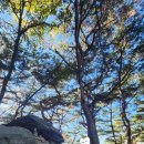 서봉산 산림욕장 1 이미지