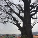 조양카센타 이미지