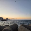 지오아라 이미지