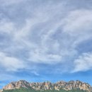 소노펠리체 델피노 이미지