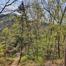 북봉산(다봉산)_숲길(등산)1코스 | 구미 북봉산 등산코스 : 도량동-평성산-다봉산-정상-봉곡동