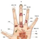 ㅂ 민간의학, 수지침을 배워보자. 이미지