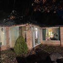 보니소네트 이미지