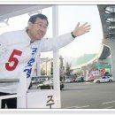 동아목련 이미지