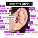 씬피어싱