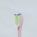 에스테넥스 이미지