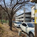 지산동 칼국수,국물닭발 이미지