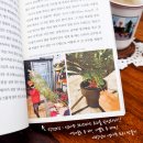 도시참치