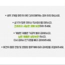 아지&냥이 이미지