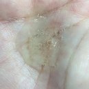 건지솔루션 | [화장품] 마데카21 테카 솔루션 수딩 크림 50ml, 수딩 캡슐 앰플 30ml 비교 후기💚