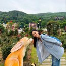 백원랜드 이미지