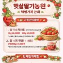 햇살농원 애견 네이버블로그