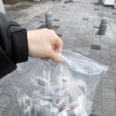 모어댄이매진 | 광양 중마동 모어댄이매진 두바이쫀득쿠키 두쫀쿠(평일 오픈런 후기)