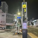 부산횟집 | 모듬회 소자에 전어와 감성돔이 나오는 자갈치 맛집 부산횟집 후기